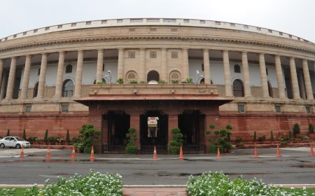 Indian government introduces forest amendment bill