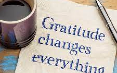 Harnessing the Power of Gratitude: Cultivating Appreciation in Daily Life