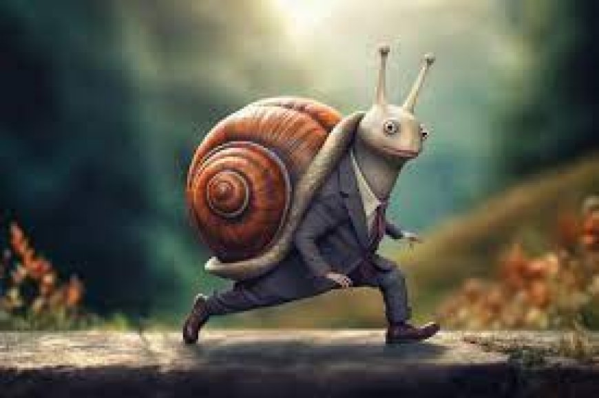 Embracing Slow Living: Prioritizing Quality over Quantity